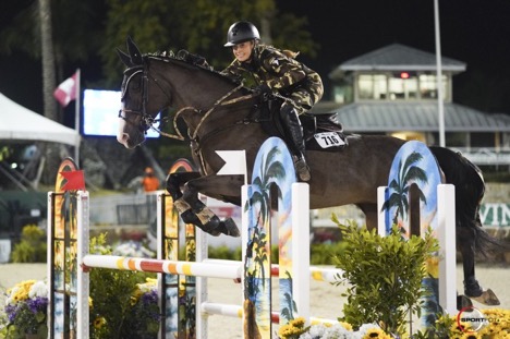 Woman dressed in camo on brown horse jumping over tall jump.
